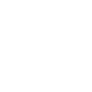 swastik-image-white.png